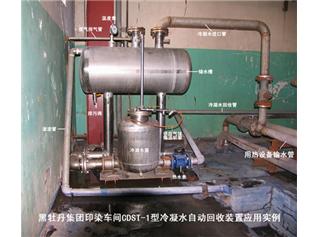 常州黑牡丹（集團）股份有限公司大德紡織